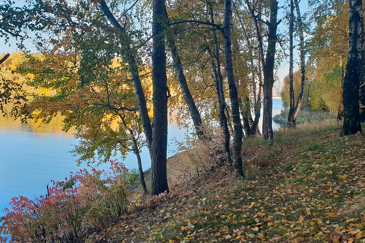 аренда загородной площадки на свадьбу